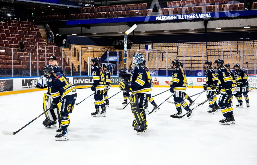 HV71 får förstärkning av Riley Walsh nästa säsong.