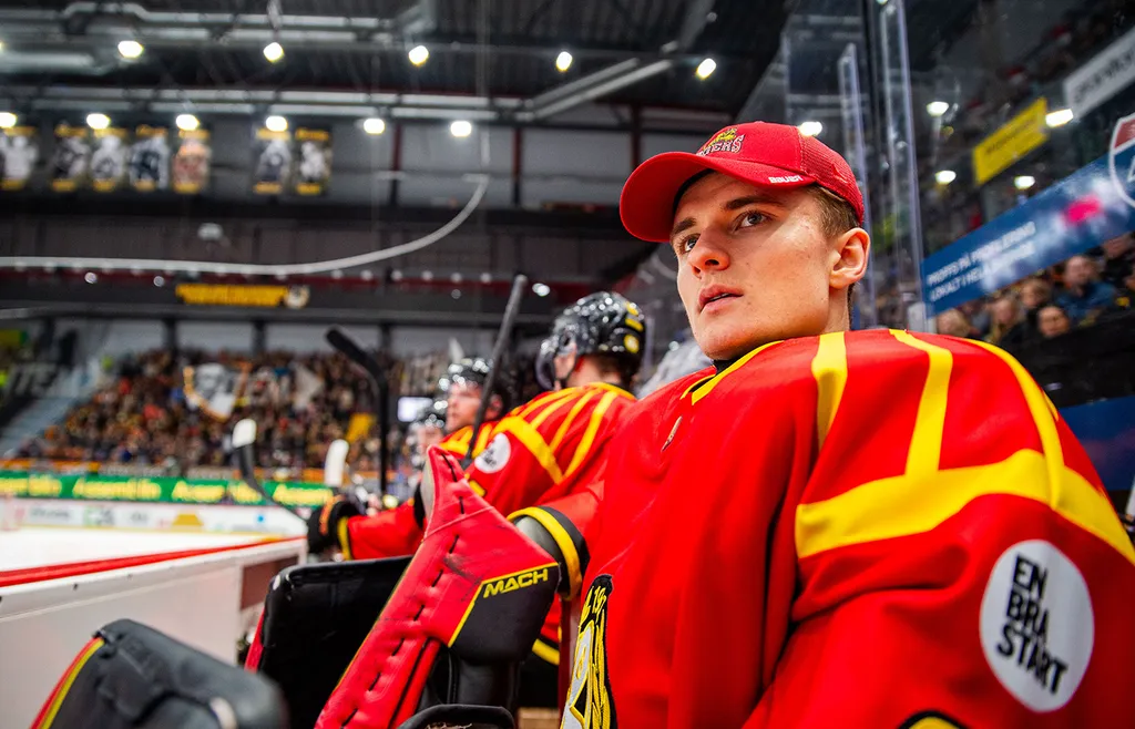 Kristers Steinbergs i Brynäs 2024