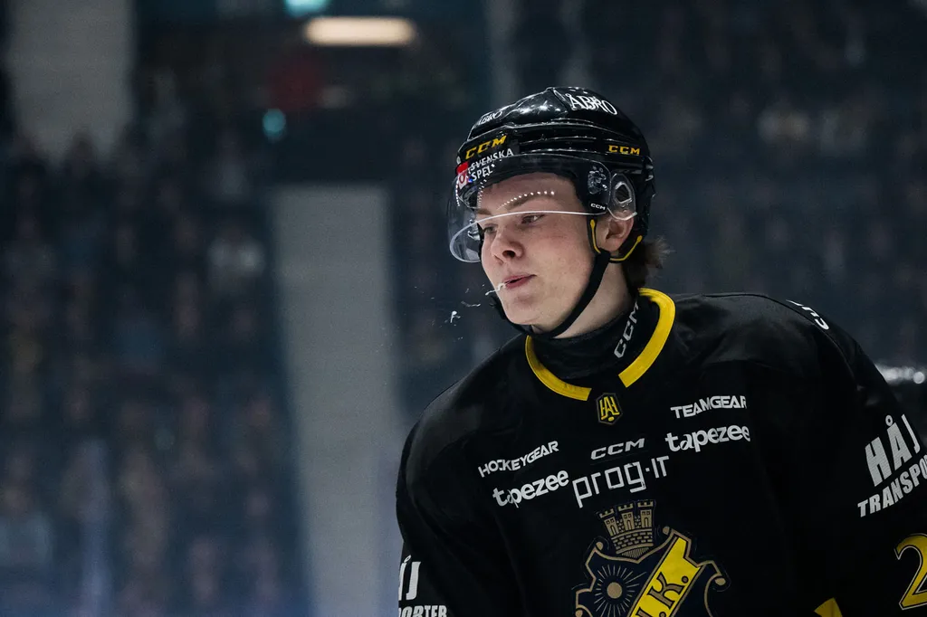 Theo Hårdstam