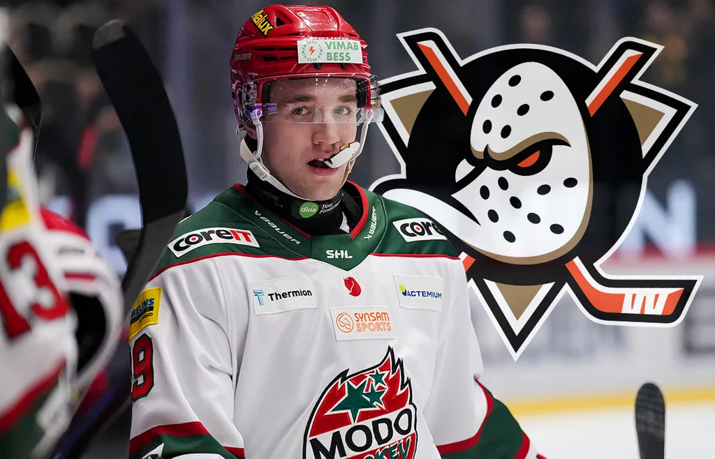 Lucas Pettersson