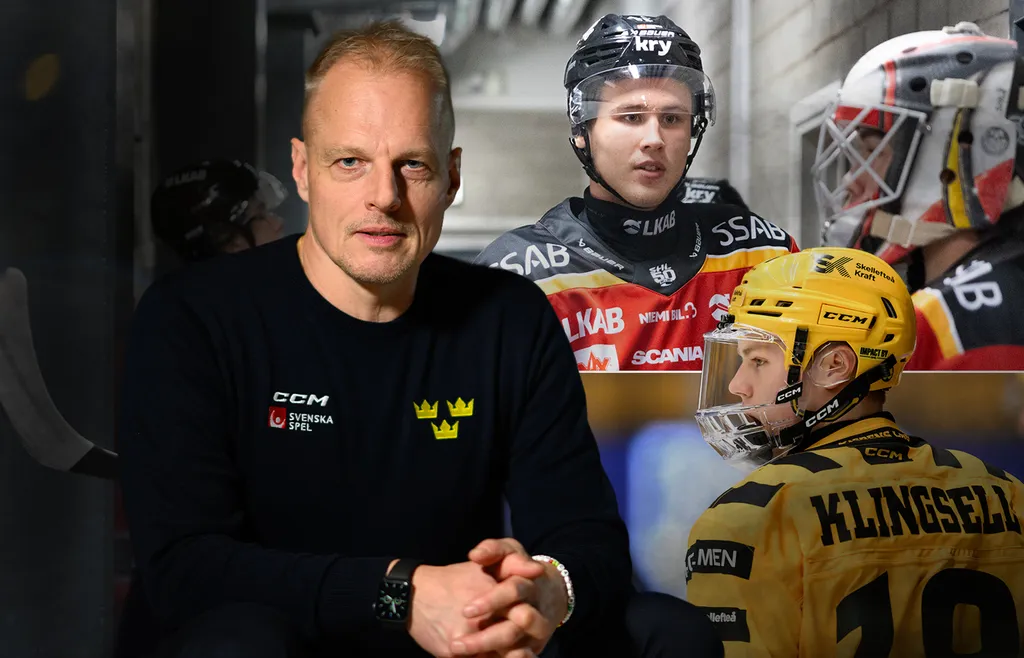 Hävelid ger sin syn på Ihs-Wozniak och Klingsell.