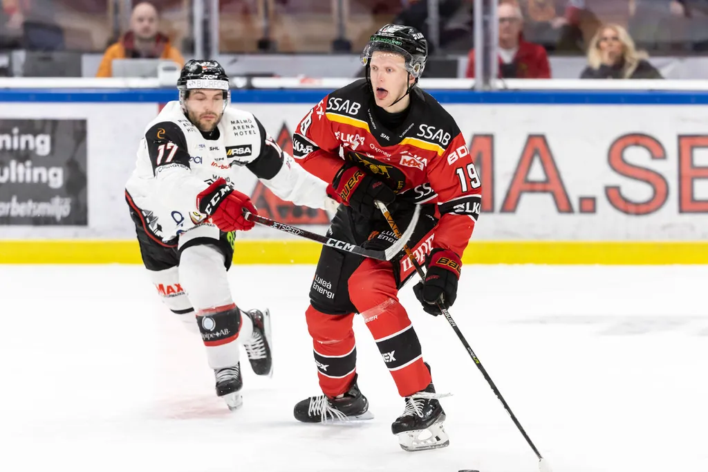 Tidigare Luleå-junioren Elias Callgren pekas ut som en nyckelvärvning hos Boden