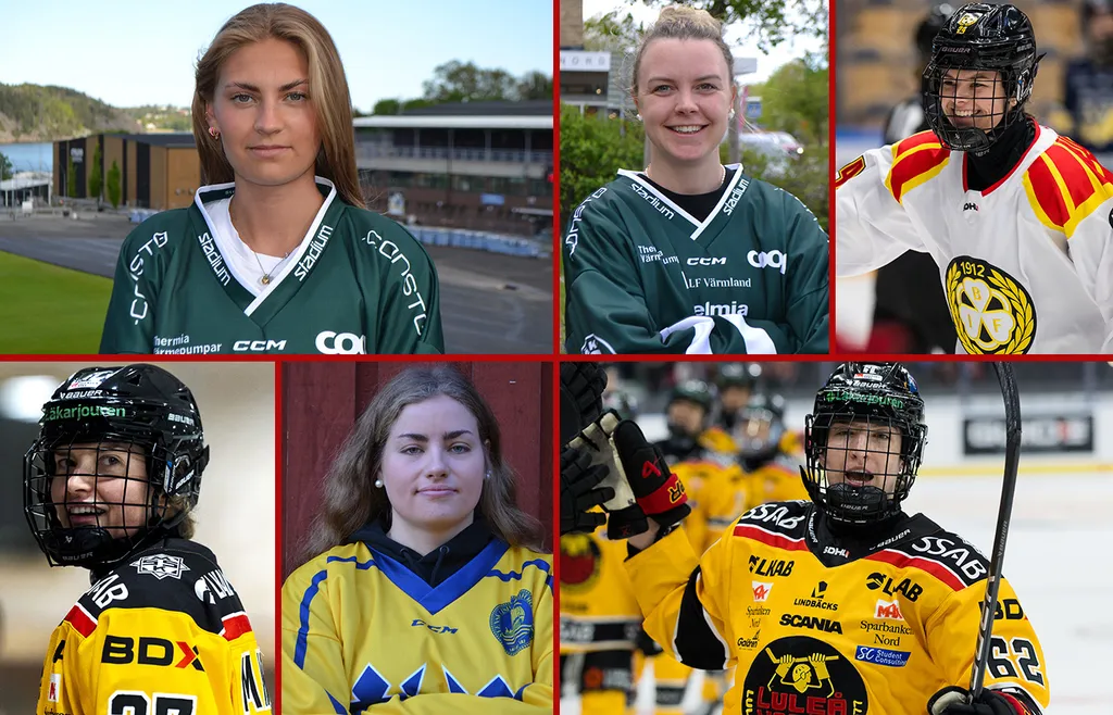 Veckans All-Star Team i SDHL