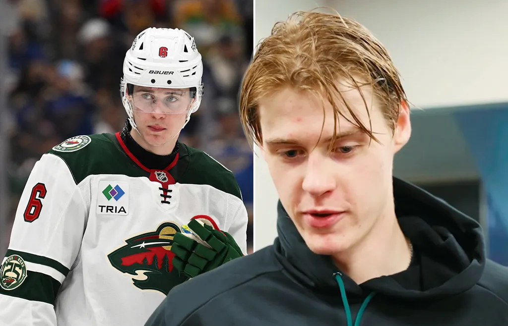 Viking Gustafsson Nyberg har nu fått sin NHL-debut överstökad