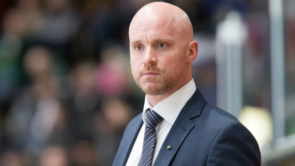 Tim Brithén kan bli aktuell för ett Hockeyettan-jobb nästa säsong
