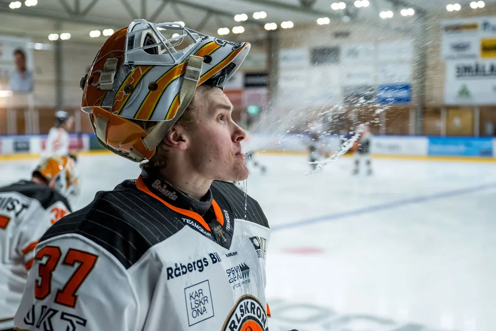 Fabian Arwidson