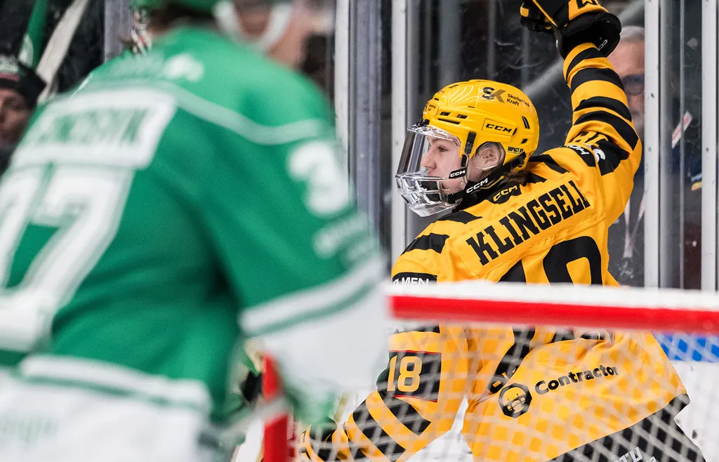 Viktor Klingsell jublar efter sitt första SHL-mål, 20 november 2205