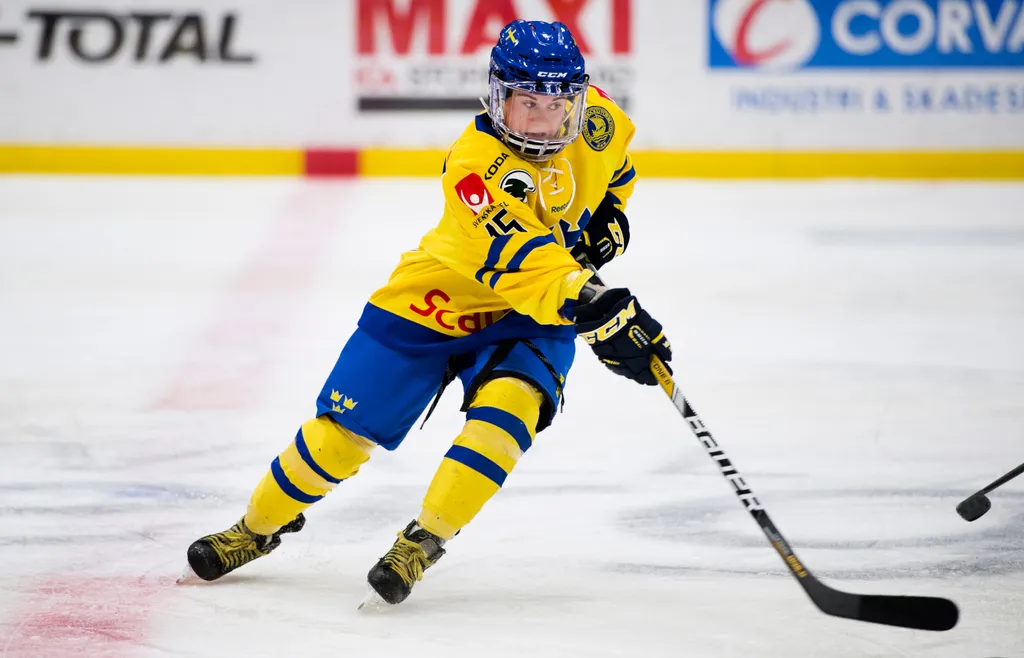 Lisa Johansson i en landskamp 2015.