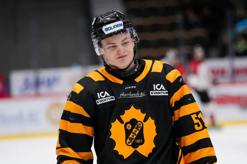Leo Bergström