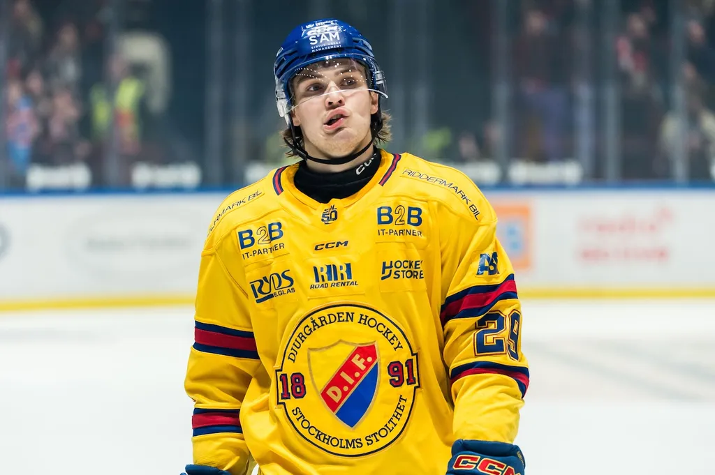 Håvard Salsten, en spelare som visade upp högt och lågt första året i SHL