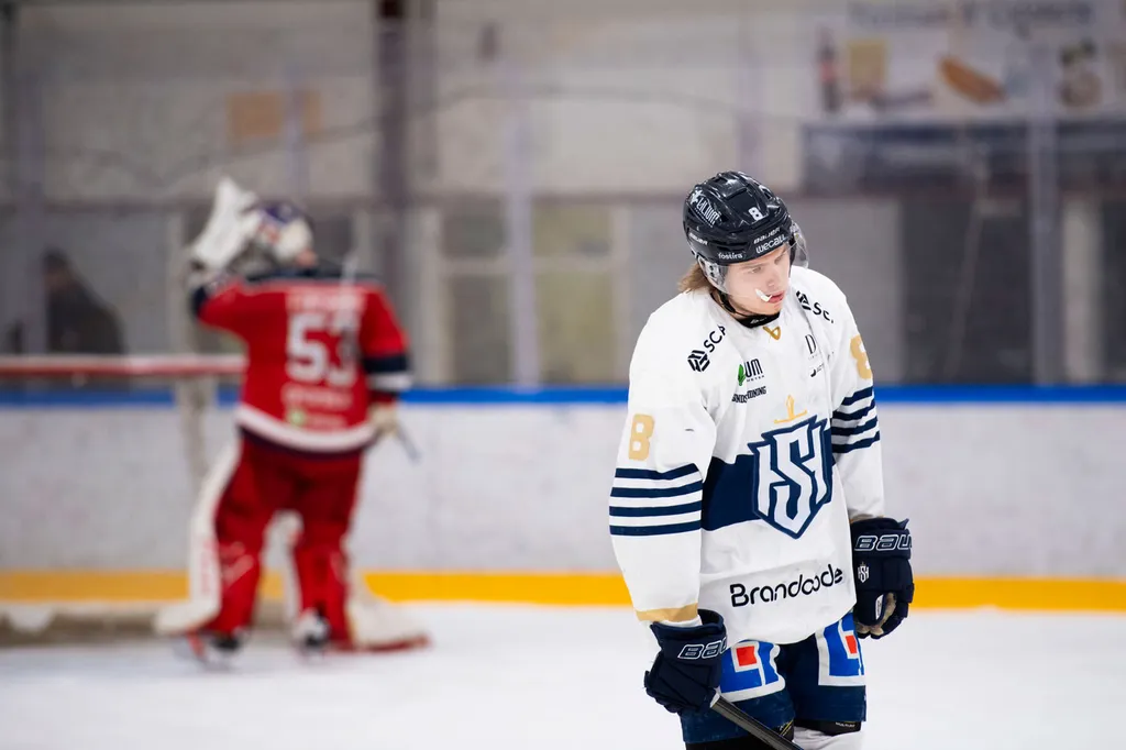 Mathias Wikudd