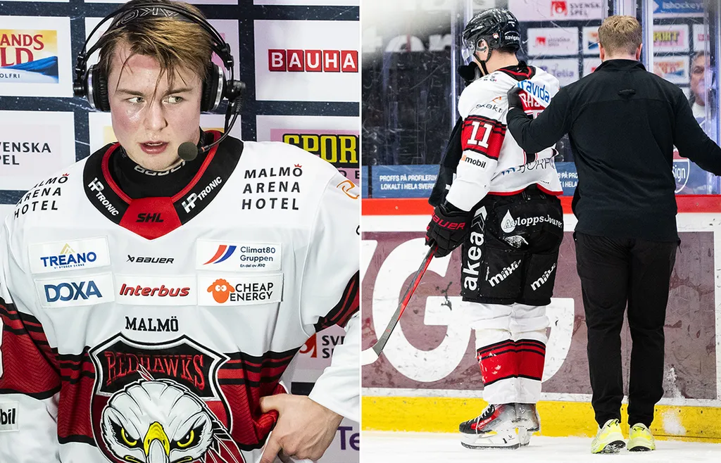 Petter Vesterheim ska ersätta Nikola Pasic efter helgens skada