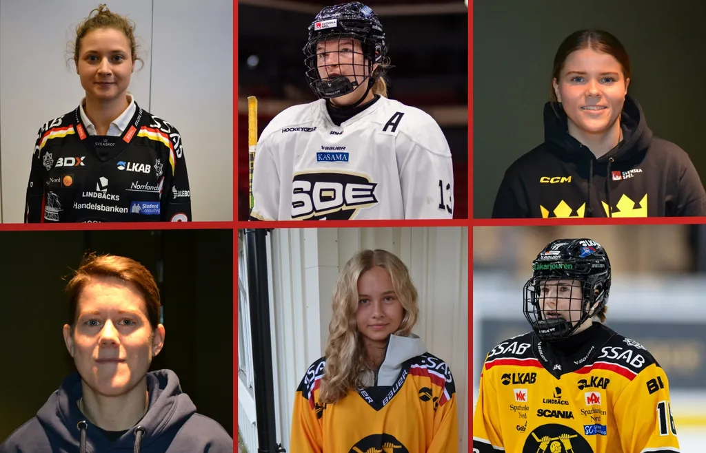 Veckans all star-lag i SDHL
