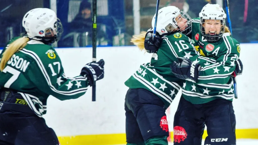 Hammarbys damlag spelar i dag i NDHL