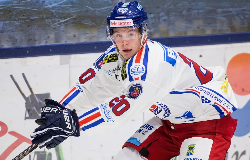 Tidigare i sin karriär har Eddie Levin spelat för Oskarshamn samt HV71:s juniorlag