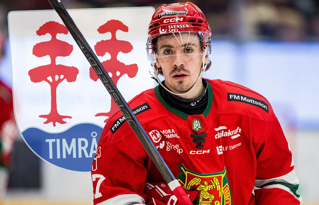 Ludvig Levinsson lär vara en stabil breddspelare för Timrå. FOTO: Daniel Eriksson/Bildbyrån