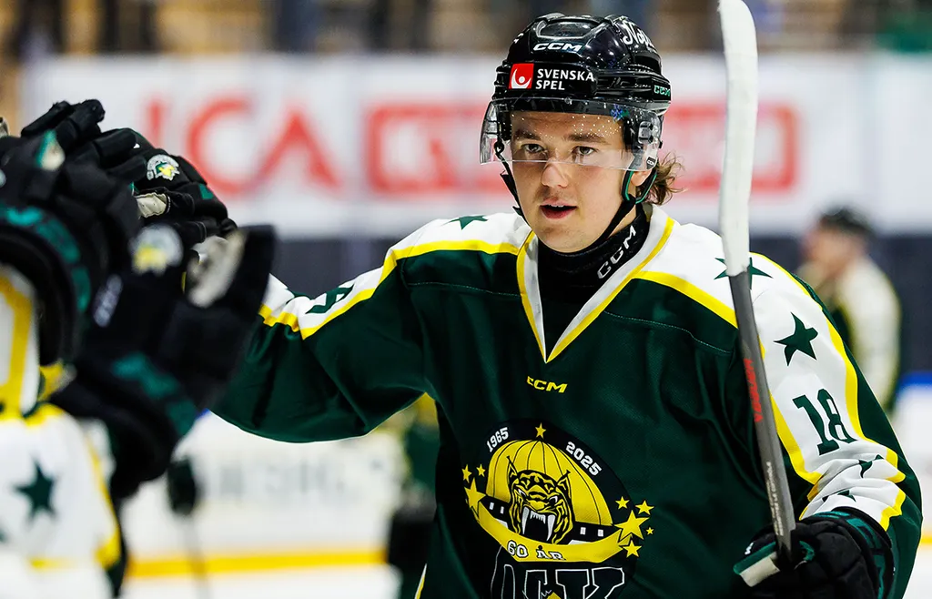 Theo Jacobsson uppges förstärka Nybro till nästa säsong