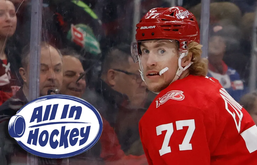 Simon Edvinsson saknar fortfarande ett nytt kontrakt med Detroit Red Wings. Foto: Rick Osentoski-Imagn Images