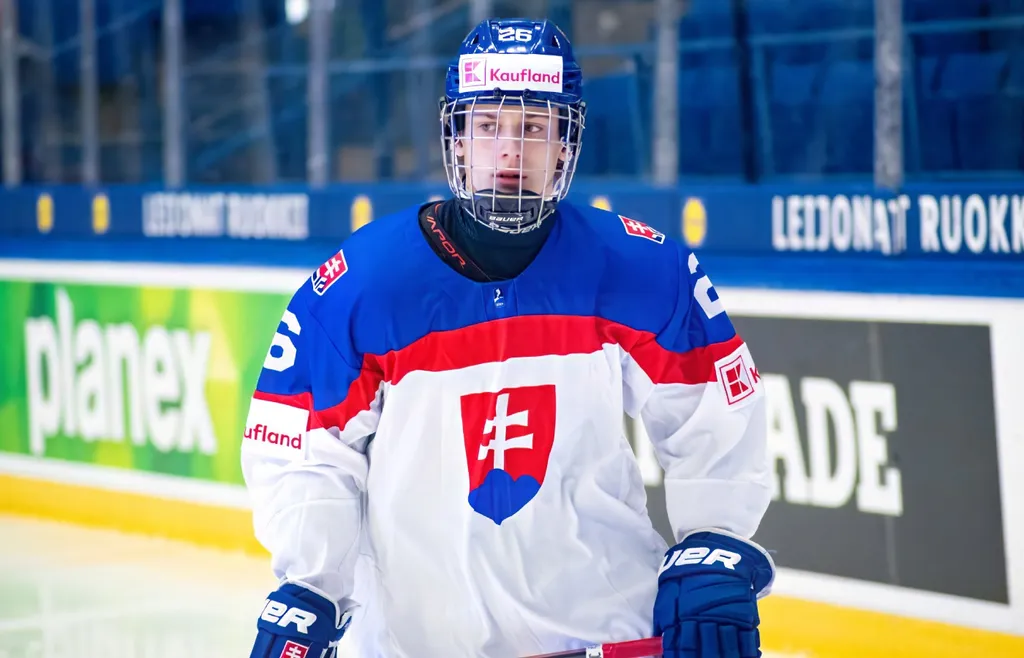 Luka Radivojevic