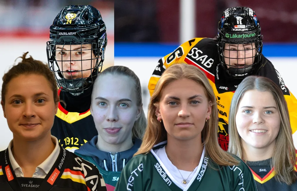 Säsongens all star-lag 25726 i SDHL