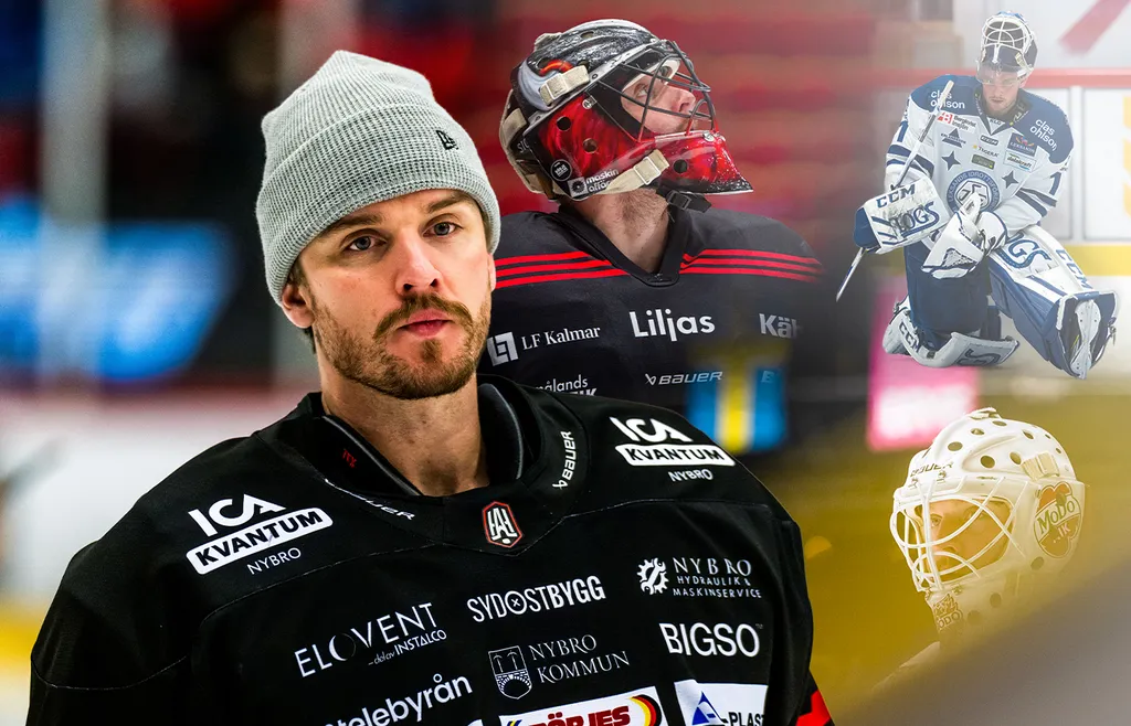 Tex Williamsson i Nybro, MoDo och Leksand.