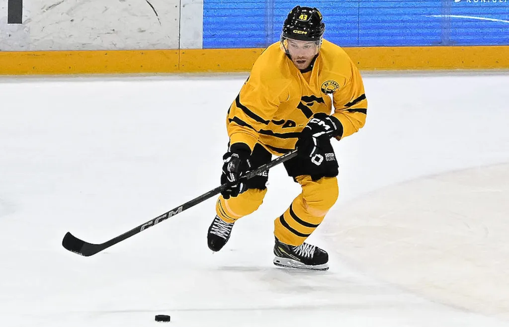 Filip Sandberg snittar över 20 minuters istid per match i tjeckiska Litvinov