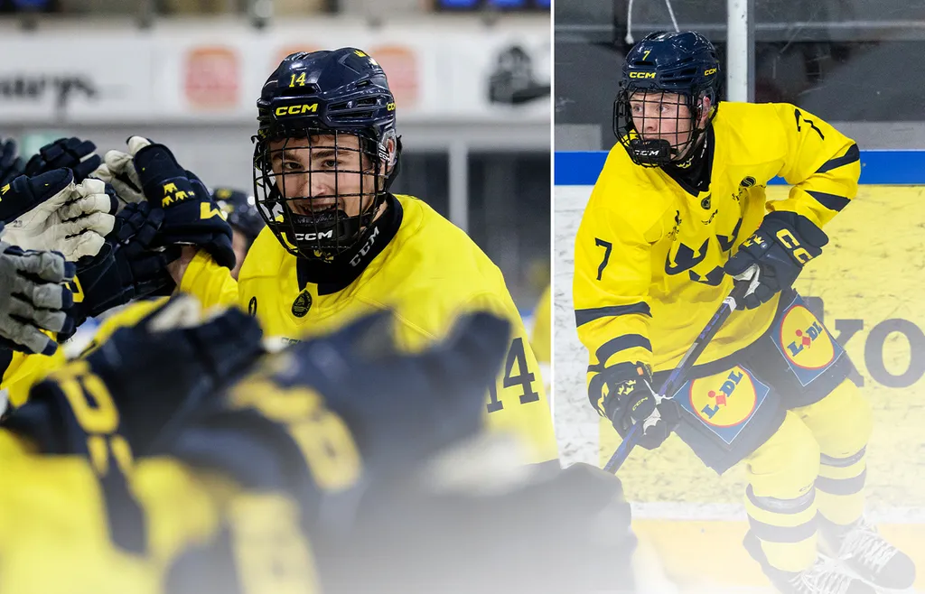 Milan Sundström och Douglas Johnsson pekas ut.