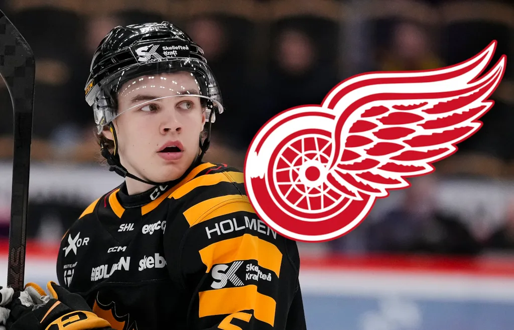 Axel Sandin Pellikka kan räkna med spel i AHL den här säsongen