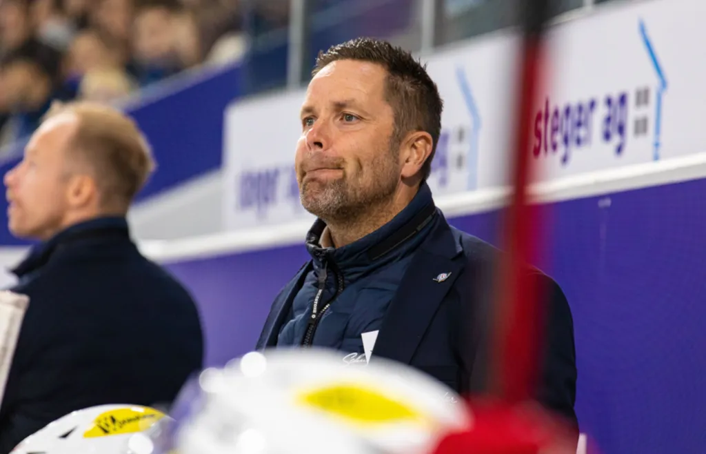 Stefan Hedlund