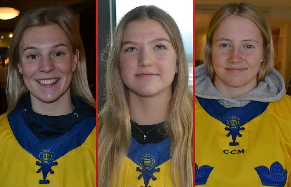 Johansson, Hedqvist och Ljungblom