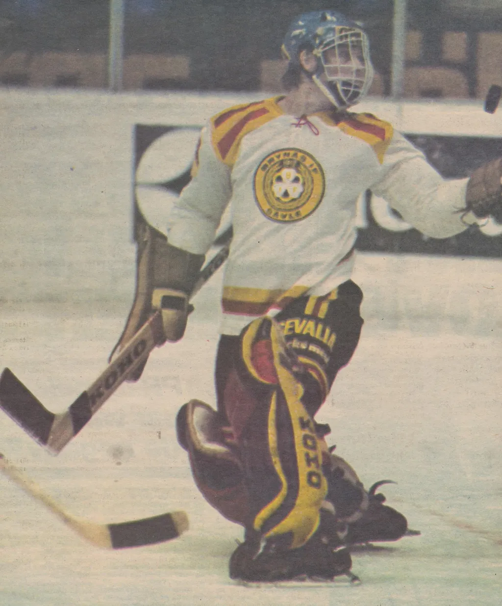 "Löken" eller "Wille" kom billigt till Brynäs
