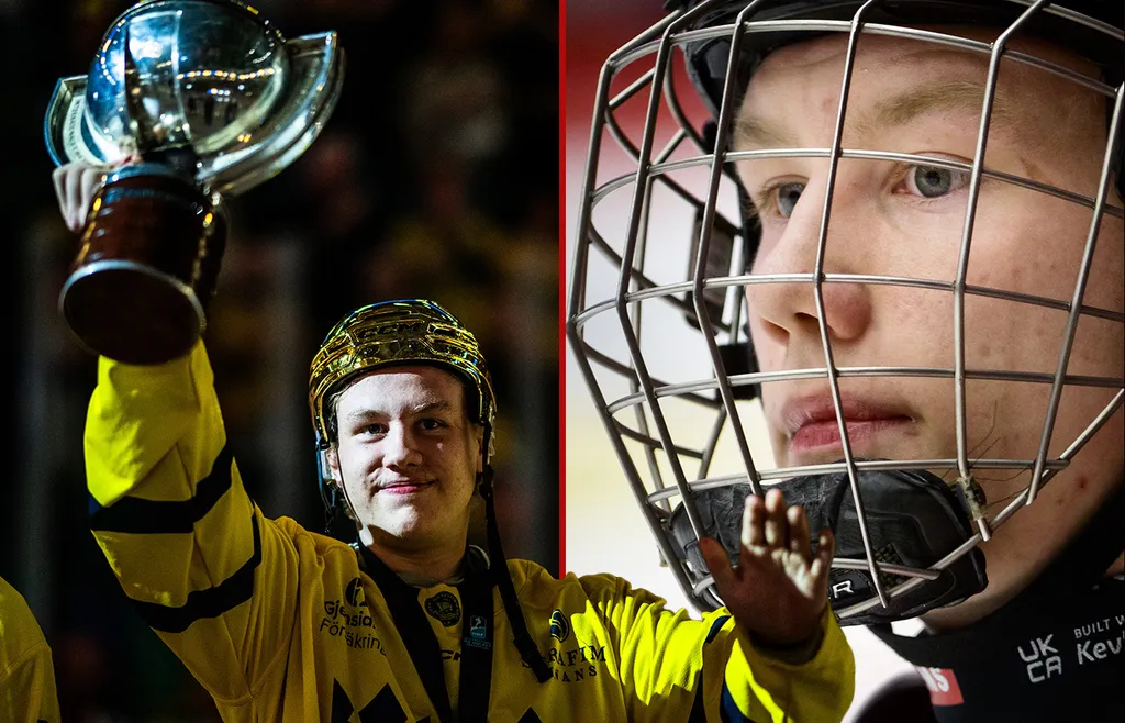 Ludvig Andersson lånas ut till HockeyAllsvenskan.