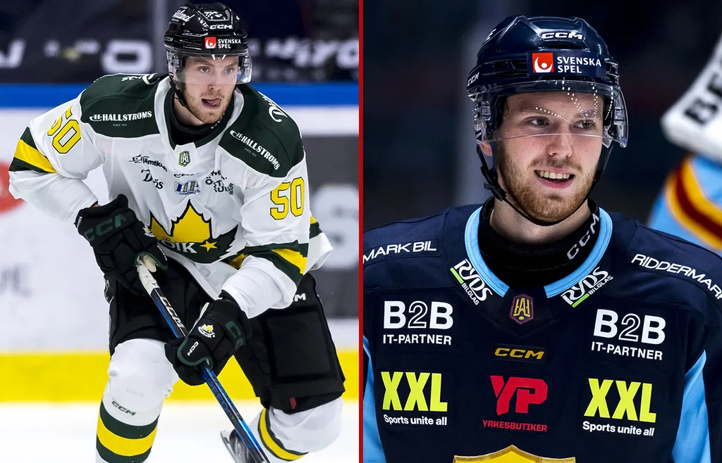 Elias Degnell spelade allsvensk hockey för Östersund och Djurgården i fjol. FOTO: Bildbyrån