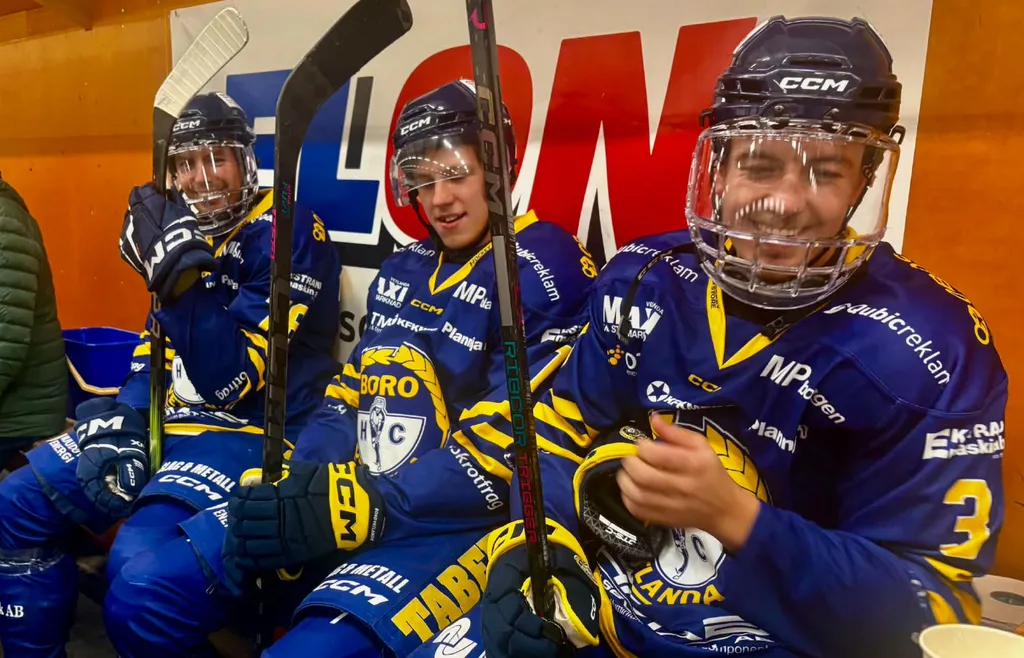 Bröderna Henell i utvisningsbåset.