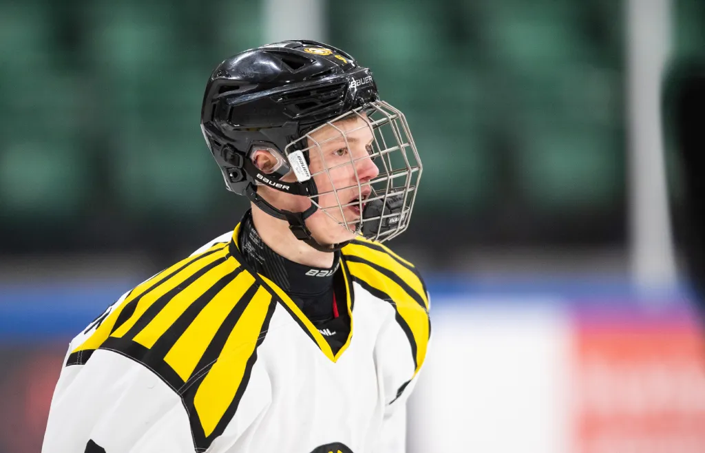 Linus Hemström, här under juniortiden i Brynäs.