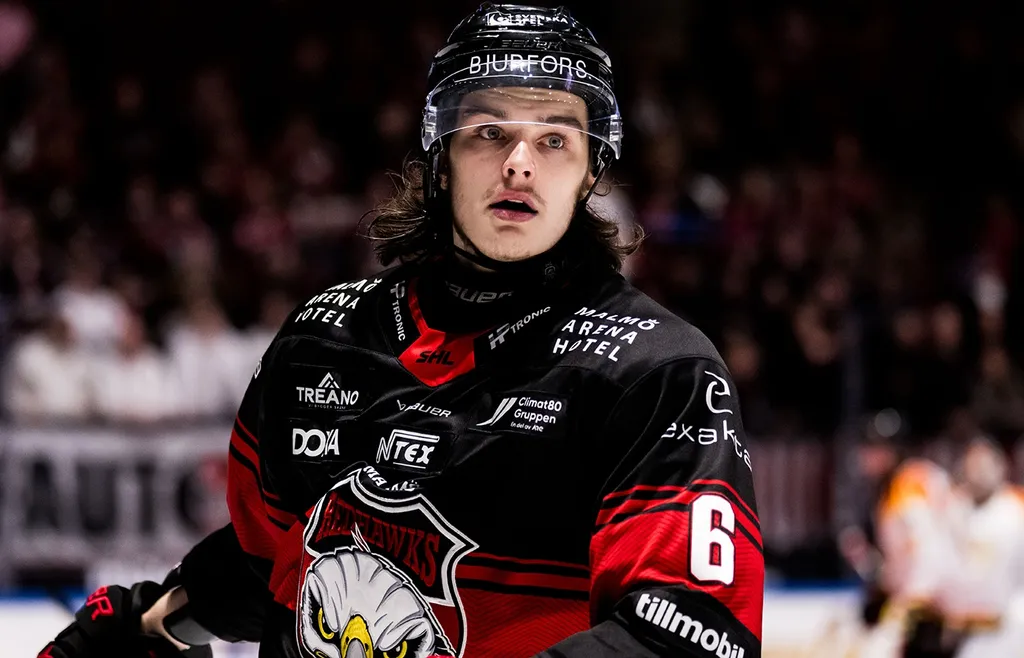 Dominik Badinka. Malmö Redhawks.