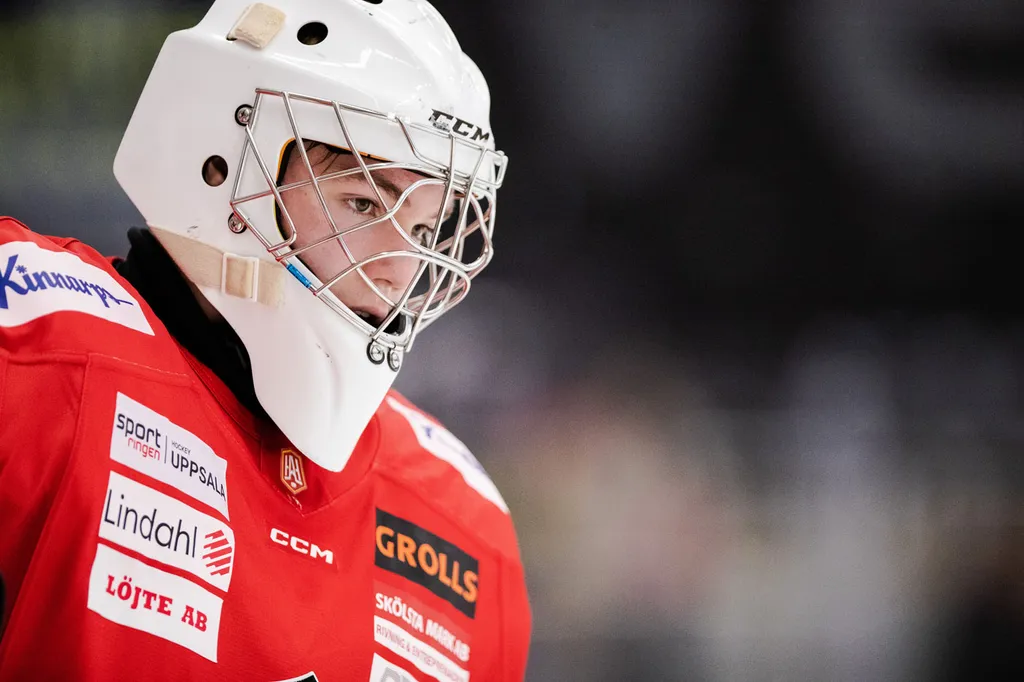 David Ronnestål
