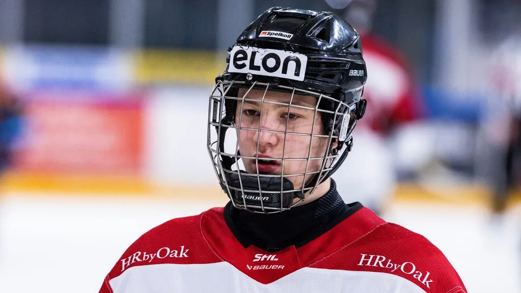 Alexander Zetterberg var en nyckelspelare när Medelpad senast gick till slutspel för fyra år sedan