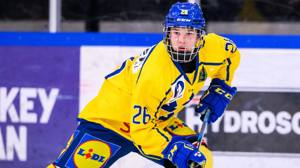 Alexander Zetterberg - en tidig juniorstjärna