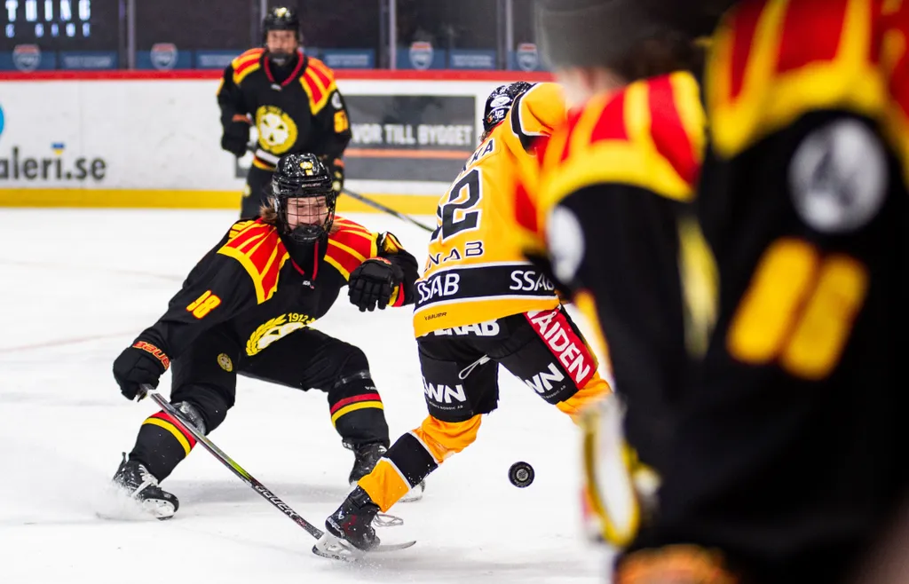 Matchen mellan Brynäs och Luleå lockade storpublik