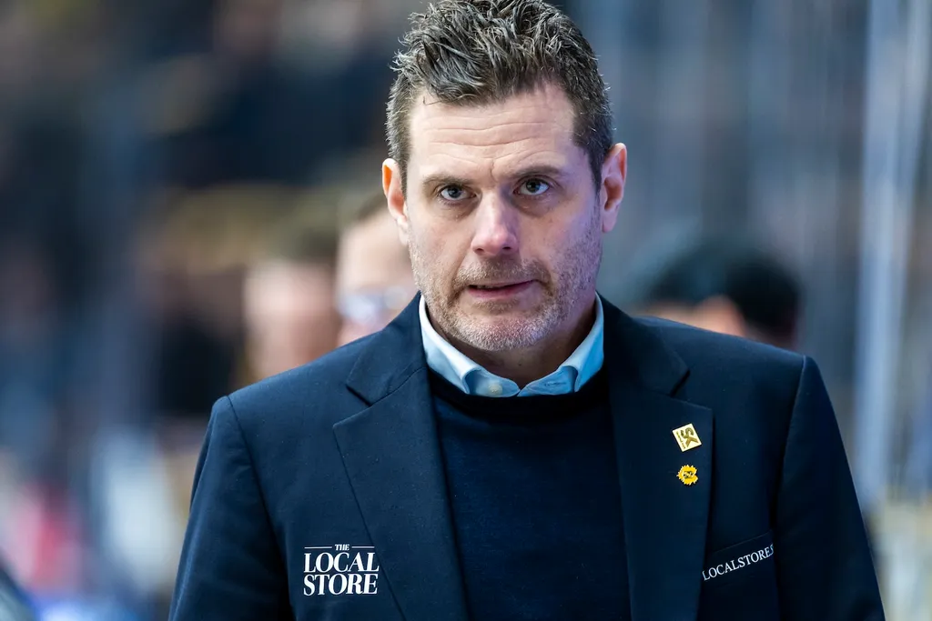 Daniel Hermansson kan bli guldtränare – redan första SHL-året