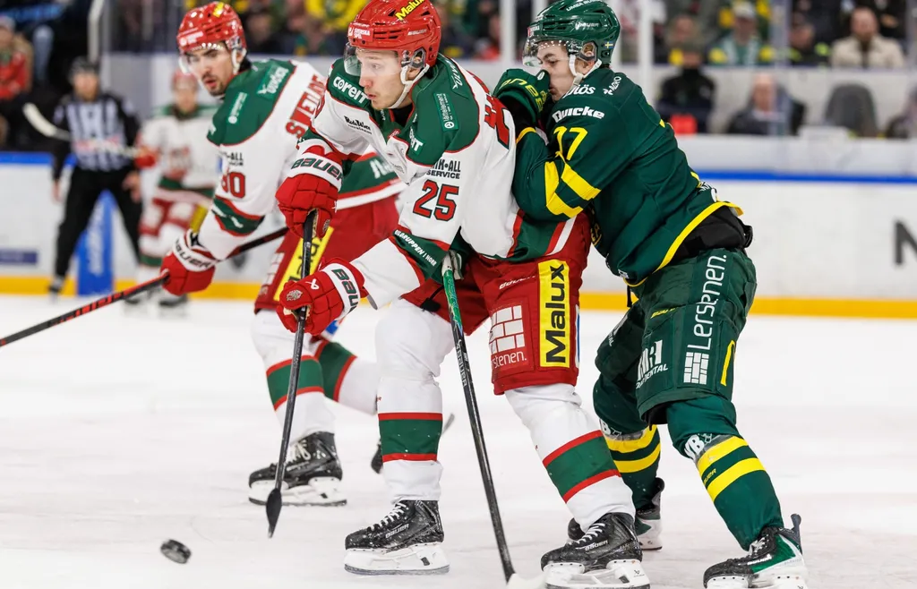 Carl Mattsson och Philip Hemmyr under ishockeymatchen i Hockeyallsvenskan mellan Björklöven och Modo den 17 oktober 2025 i Umeå
