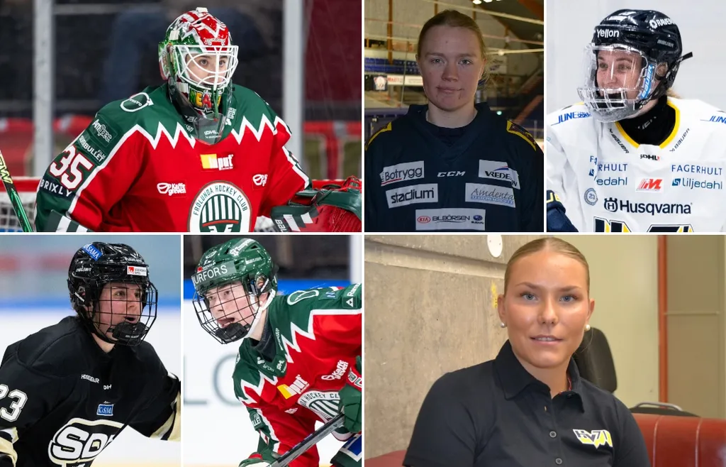 Veckans lag i SDHL
