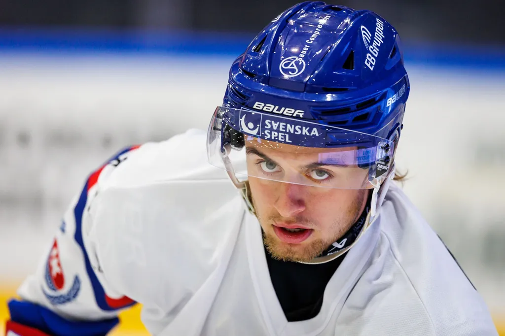Joel Jonsson