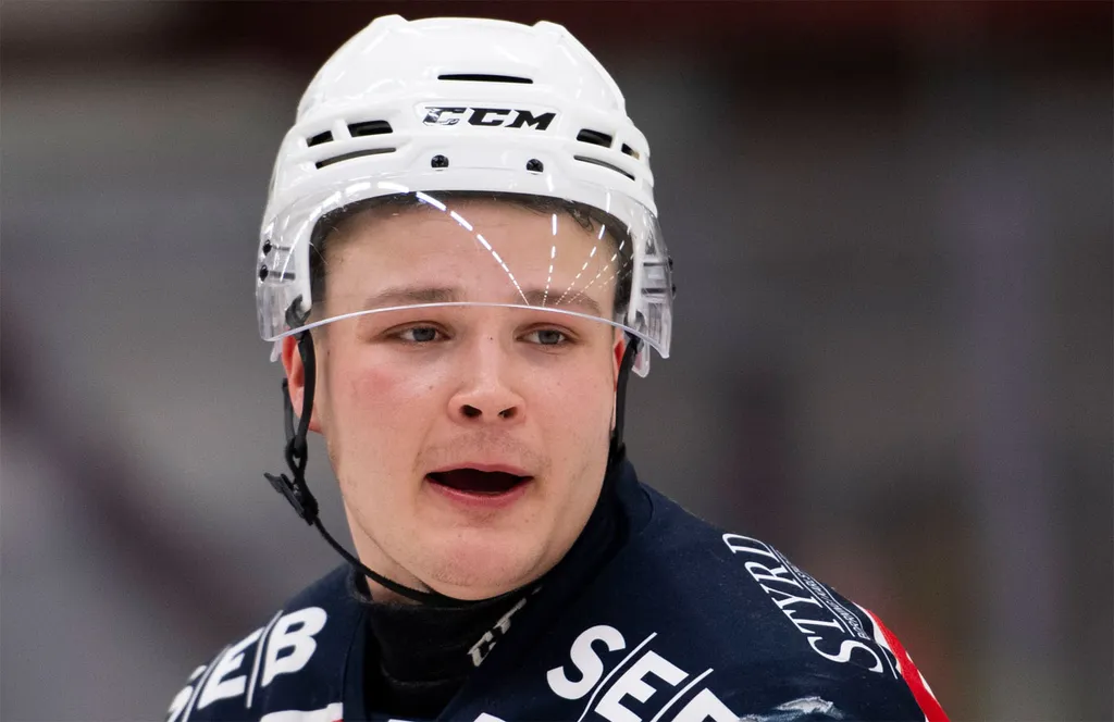 Hugo Ek Koskela