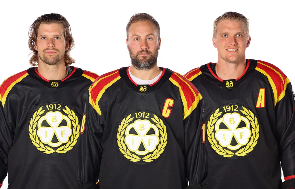 Brynäs toppkedja
