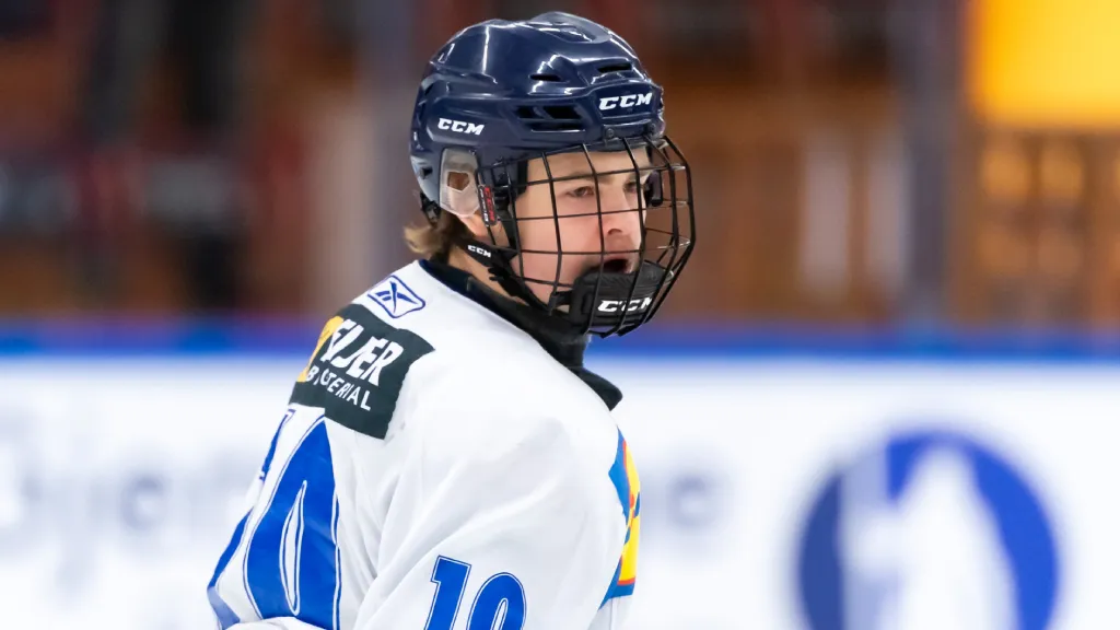Hugo Zetterlund under TV-pucken