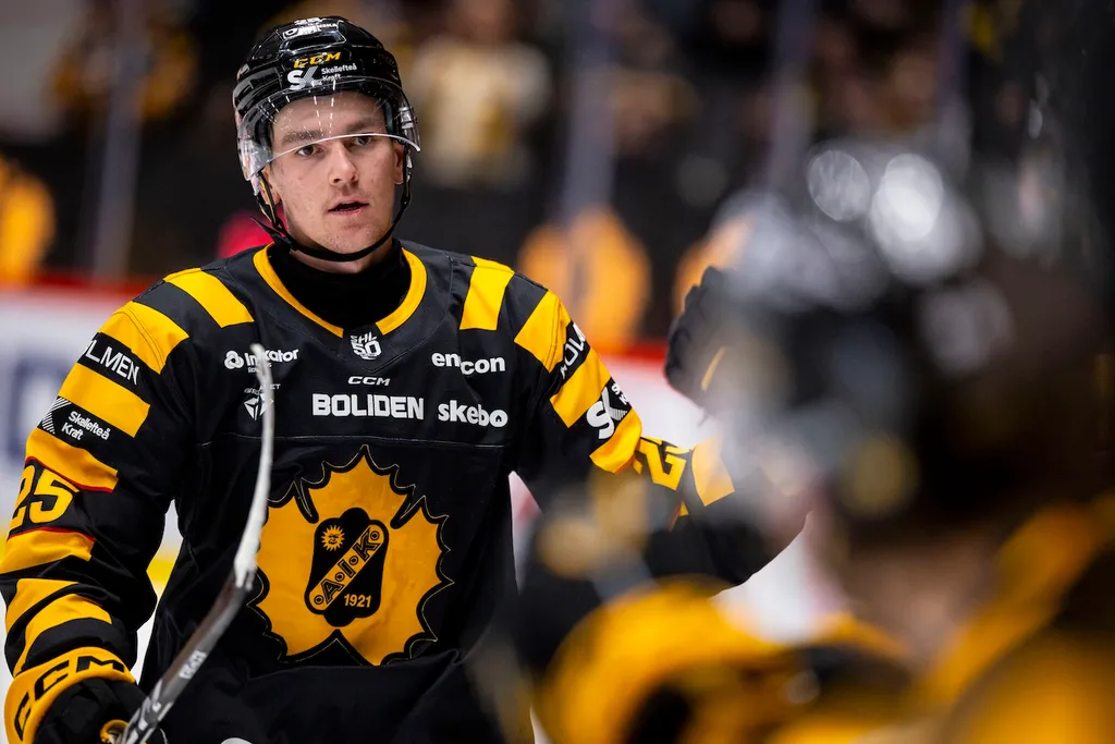 Pontus Johansson har varit en nyckel för Skellefteå under säsongen