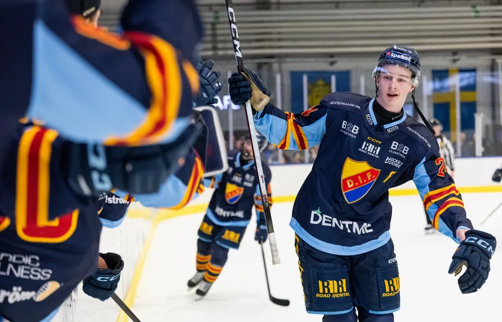 Theo Stockselius stannar i Djurgården.