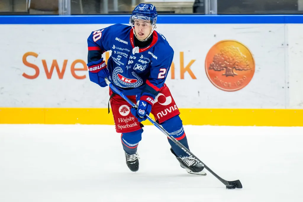 Joel Jonsson